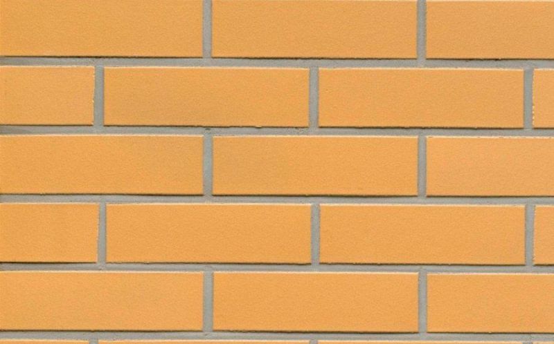Клинкерная облицовочная плитка Feldhaus Klinker NF 9 R200 amari liso 240*71*9 мм